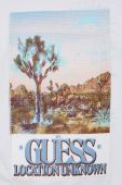 Бавовняна футболка Guess Колір білий з принтом колір білий