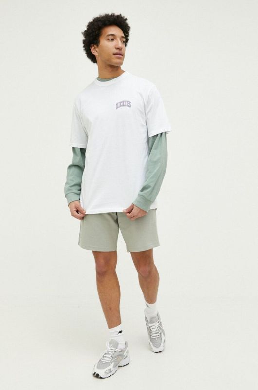 Бавовняна футболка Dickies колір білий з принтом (3186418) фото 2