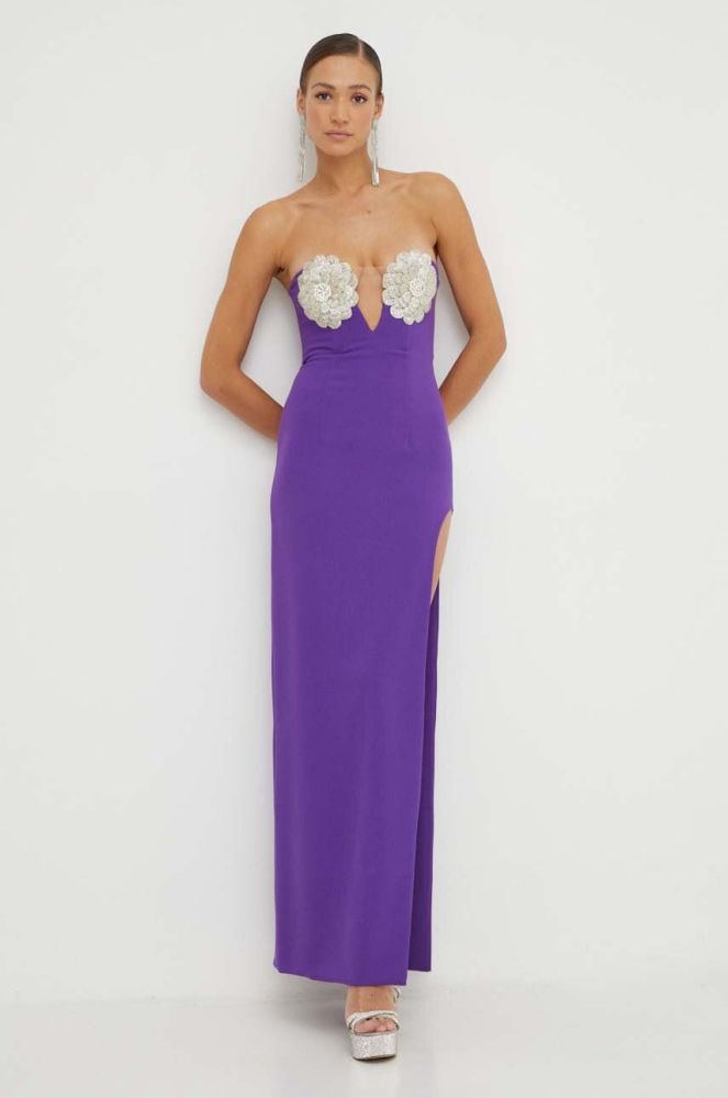 Сукня Nissa колір фіолетовий maxi облягаюча